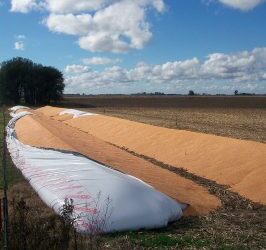 RECIBIDORES DE GRANOS EXIGEN REDUCCIÓN DE JORNADA LABORAL A 6 HORAS