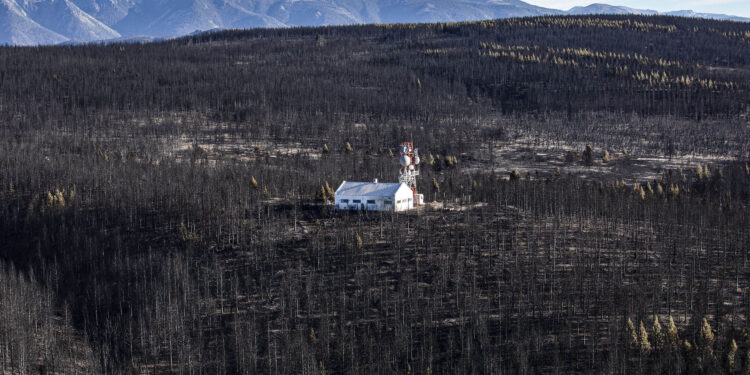 ALBERTO FERNÁNDEZ A LOS INTENDENTES DE LAGO PUELO Y EL HOYO: «TENEMOS UN COMPROMISO INALTERABLE CON CADA VECINO Y CADA VECINA»