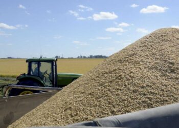LAS EXPORTACIONES DE ALIMENTOS SUBIERON 85,7% EN ENERO, EN MEDIO DEL ALZA DE PRECIOS