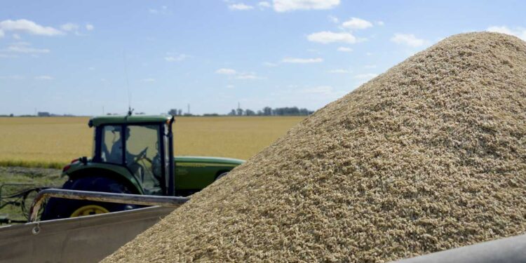 LAS EXPORTACIONES DE ALIMENTOS SUBIERON 85,7% EN ENERO, EN MEDIO DEL ALZA DE PRECIOS