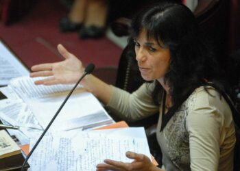 IBARRA RECHAZÓ QUE EL PROYECTO DE EMERGENCIA COVID LE DE «SUPERPODERES» AL EJECUTIVO