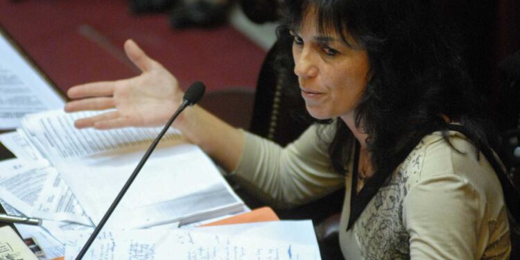 IBARRA RECHAZÓ QUE EL PROYECTO DE EMERGENCIA COVID LE DE «SUPERPODERES» AL EJECUTIVO