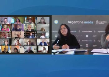 VIZZOTTI E IBARRA DEFENDIERON EN PROYECTO DE EMERGENCIA COVID Y HABILITARON MODIFICACIONES «RAZONABLES»