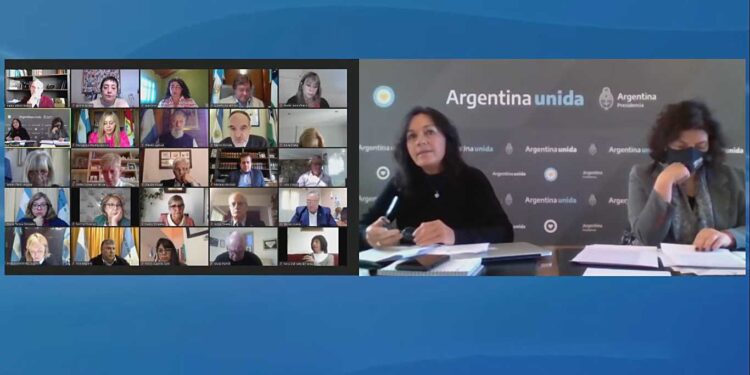 VIZZOTTI E IBARRA DEFENDIERON EN PROYECTO DE EMERGENCIA COVID Y HABILITARON MODIFICACIONES «RAZONABLES»