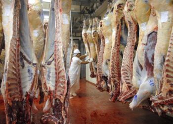 ADVIERTEN QUE EL CIERRE DE LA EXPORTACIÓN DE CARNES ES «LA PEOR MEDIDA DEL GOBIERNO EN COMERCIO EXTERIOR»