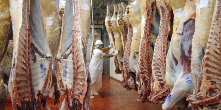 ADVIERTEN QUE EL CIERRE DE LA EXPORTACIÓN DE CARNES ES «LA PEOR MEDIDA DEL GOBIERNO EN COMERCIO EXTERIOR»