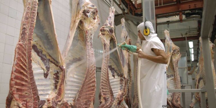 PARA EL CAMPO, EL CIERRE DE LAS EXPORTACIONES DE CARNE DURARÁ MÁS DE UN MES