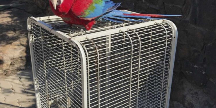 LA ARGENTINA FIGURA EN UN INFORME QUE RECOPILÓ ASESINATOS DE DEFENSORES DE LA TIERRA Y EL MEDIO AMBIENTE EN 2020