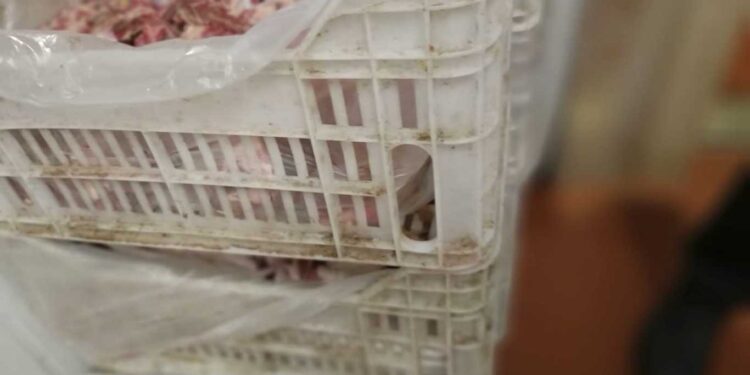 LA CANASTA BÁSICA DE ALIMENTOS DEL CONURBANO AUMENTÓ 1,57% EN AGOSTO