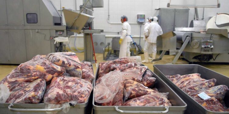 PINO PIDIÓ QUE EL GOBIERNO «SE DEJE DE JOROBAR» Y «REVEA» LA DECISIÓN DE PRORROGAR EL CEPO A LA EXPORTACIÓN DE CARNE