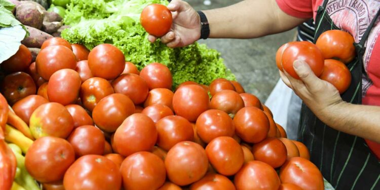 LA BRECHA DE PRECIOS ENTRE LO QUE PAGÓ EL CONSUMIDOR Y LO QUE RECIBIÓ EL PRODUCTOR AUMENTÓ 6 POR CIENTO EN AGOSTO
