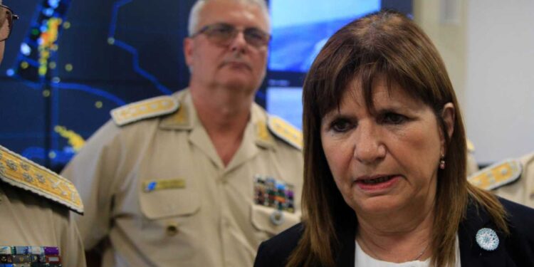 PIDEN LA INCONSTITUCIONALIDAD DEL REGLAMENTO DE ARMAS DE FUEGO DE PATRICIA BULLRICH