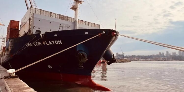 Puerto de Mar del Plata: con la llegada de una naviera francesa comenzó la puja por una licitación de la terminal