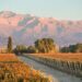 Un paraje rural de 10 mil habitantes se convirtió en el primer pueblo del vino de la Argentina