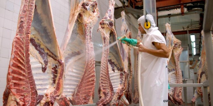 Mercados de carne vacuna: las exportaciones crecieron un 23% en agosto