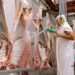 Mercados de carne vacuna: las exportaciones crecieron un 23% en agosto
