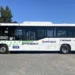 Metropol se suma de manera parcial al paro de colectivos: qué líneas no funcionan