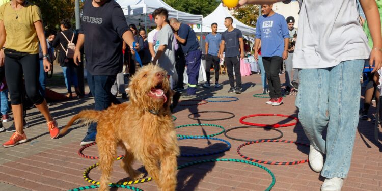 YA LLEGA EL FESTEJO POR EL DÍA DEL ANIMAL Y EL CUMPLEAÑOS DE LA VETERINARIA MUNICIPAL
