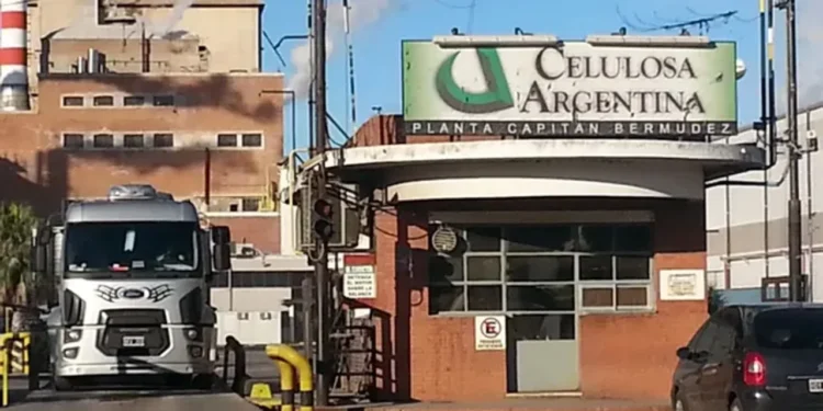 Celulosa reportó pérdidas por $ 172.634 millones y está cerca de la quiebra
