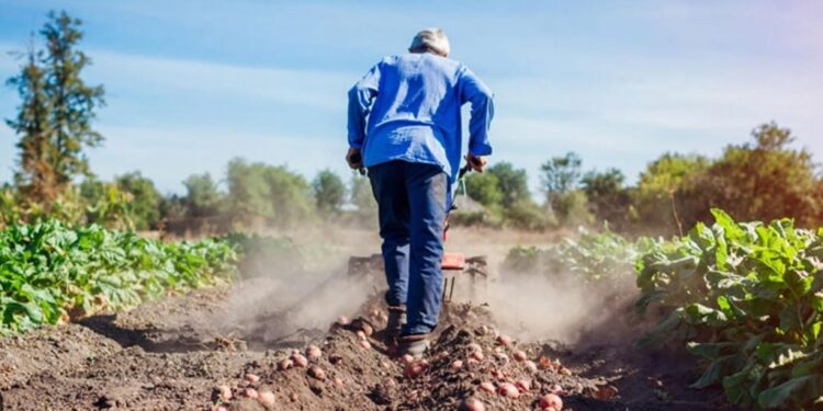 Aumentan las prestaciones por desempleo en el sector rural