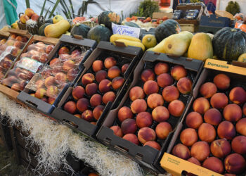 Una ensalada de frutas bien bonaerense para disfrutar en la mesa navideña y planificar el próximo viaje 