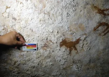 Un hallazgo en Indonesia reescribe el origen del arte humano moderno