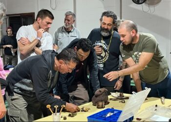 ¿HONGOS Y CORDERO? DOS FIESTAS QUE CELEBRAN Y CUENTAN HISTORIAS EN LA PROVINCIA DE BUENOS AIRES