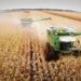 El Estado se queda con el 62,5% de la renta agrícola y la Guerra de Medio Oriente impactó en los costos