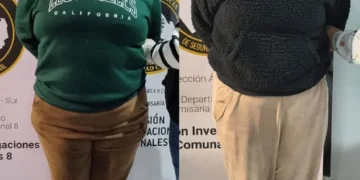 Cayeron dos viudas negras, una con varios antecedentes, tras allanamientos en Soldati y Lomas de Zamora