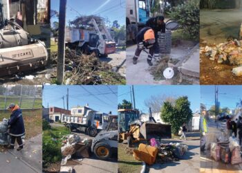 Berazategui: el Municipio continúa con la limpieza y recolección en los barrios