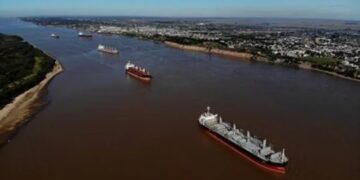 El sorgo recupera protagonismo por la demanda de China y renueva expectativas comerciales