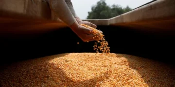El Gobierno lanza nuevo protocolo sobre la propiedad de semillas y prevé un salto exportador de US$4.000 millones