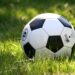PARTIDOS, ANSIEDAD Y COMIDA: CÓMO EVITAR LOS EXCESOS DURANTE EL MUNDIAL Y CUIDAR LA SALUD