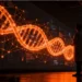 Los NIH publicaron la base de datos de genómica y salud más grande del mundo