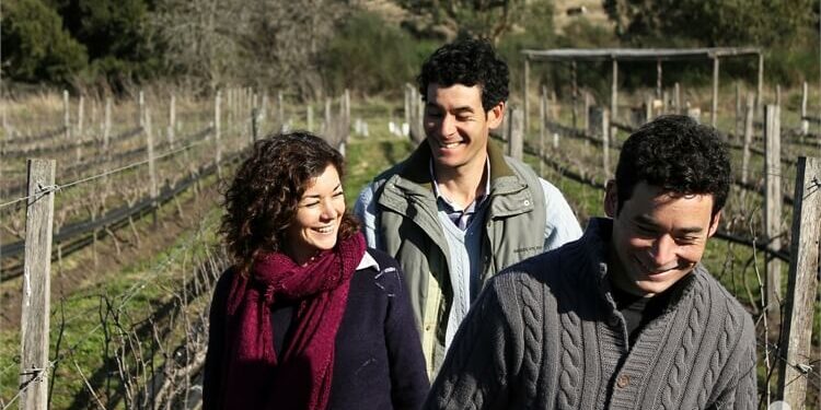 ENOTURISMO Y OLEOTURISMO: eventos de agosto