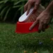 Sostienen la vigiliancia y eliminación del mosquito Aedes Aegypti