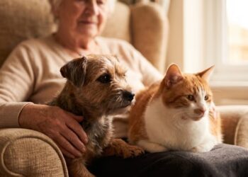 Buscan que perros y gatos puedan acompañar a los adultos mayores en residencias geriátricas