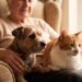 Buscan que perros y gatos puedan acompañar a los adultos mayores en residencias geriátricas