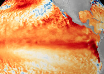 Niño fuerte: La campaña gruesa arranca con mucha agua en el suelo y tormentas en el horizonte