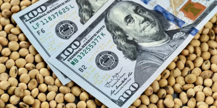 La actividad de la cadena agropecuaria creció 12% interanual en julio
