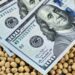 La actividad de la cadena agropecuaria creció 12% interanual en julio