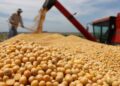 Grupo Elementa compra activos de Molinos en Rosario e invertirá US$ 100 millones