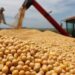 Grupo Elementa compra activos de Molinos en Rosario e invertirá US$ 100 millones