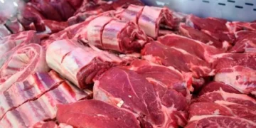 Crisis en las carnicerías: comerciantes resignan aumentos por la caída de las ventas