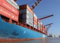 Calculan que las exportaciones argentinas podrían trepar hasta los US$180.000 millones en 2035