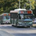 Alquileres, transporte, colegios y prepagas: todos los rubros que aumentan en noviembre