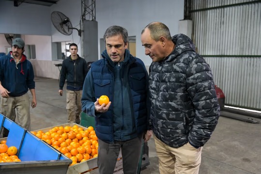 Cítricos argentinos: piden abrir el mercado de Estados Unidos