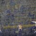 Superclásico con riesgo de chaparrones y tormentas: hasta 90% de probabilidad de lluvias en “La Bombonera”